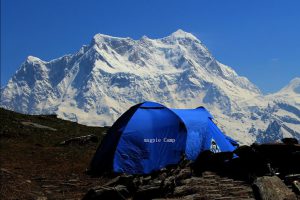 Alpine Camping In Chopta 