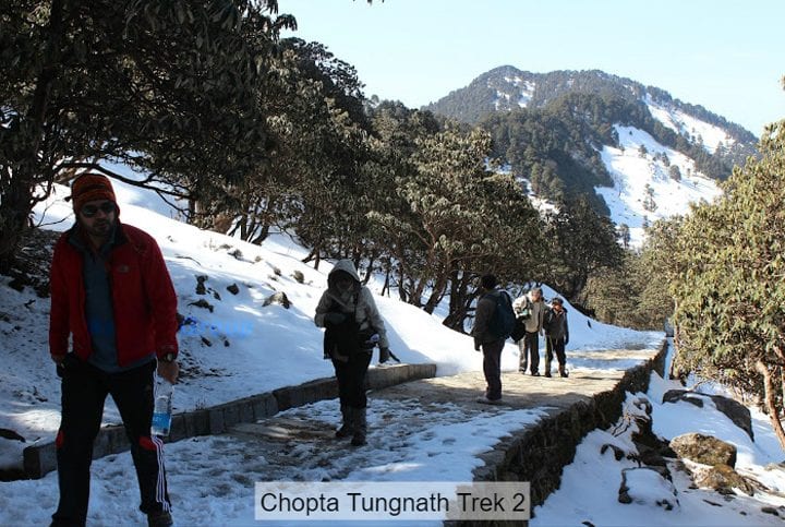 chopta tour package from ahmedabad